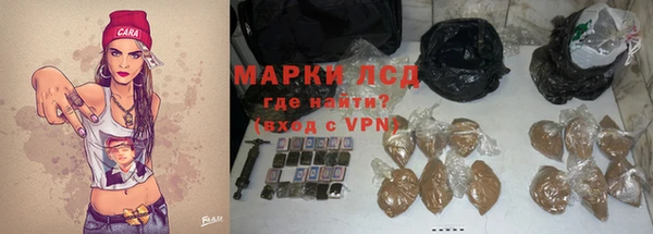сатива Няндома