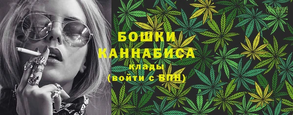 сатива Няндома