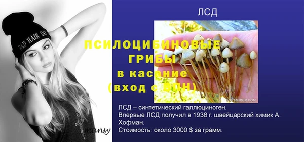 сатива Няндома