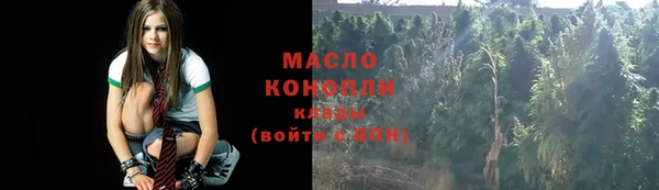 сатива Аша