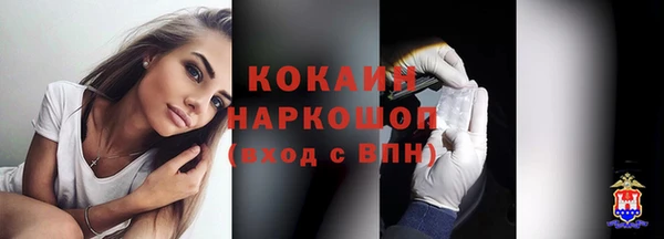 сатива Няндома