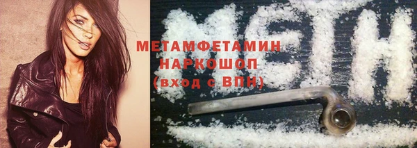 сатива Няндома