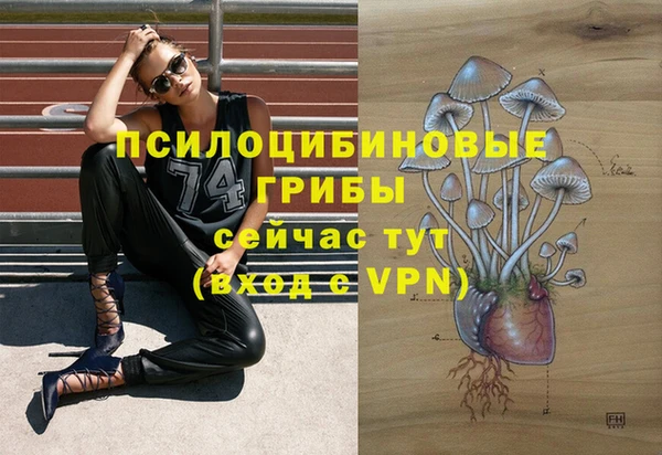 метамфетамин Осташков