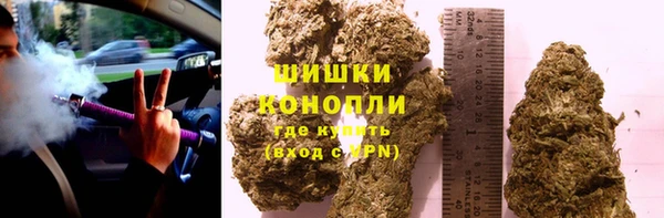 сатива Няндома