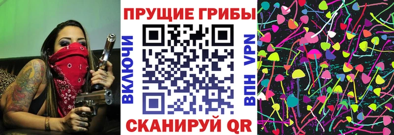 Галлюциногенные грибы Cubensis  Вологда 