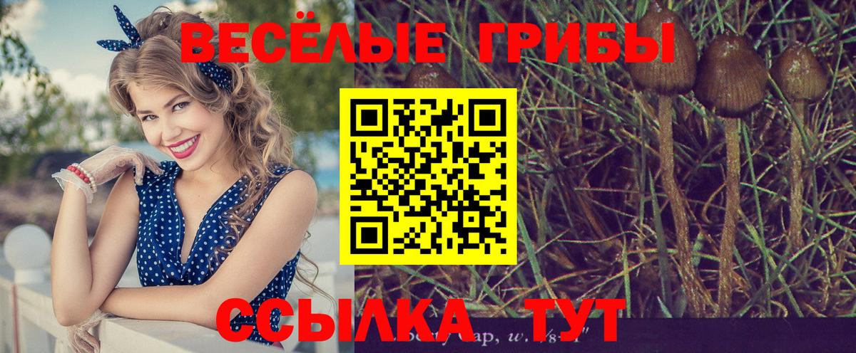 Псилоцибиновые грибы MAGIC MUSHROOMS  Галлюциногенные грибы Cubensis  Вход с VPN  Вологда 